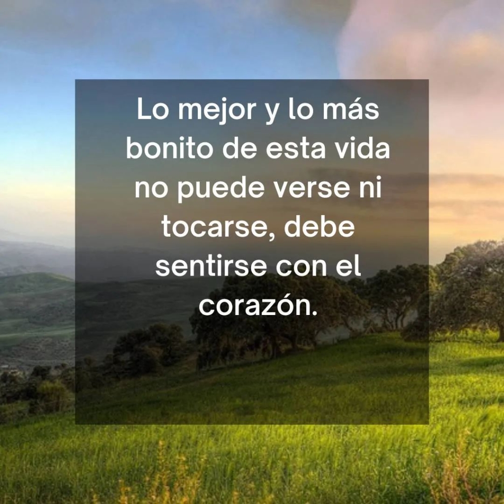 Gerardo Zamora | Lo mejor y lo más... Gerardo Zamora | Aspirante a Escritor........
