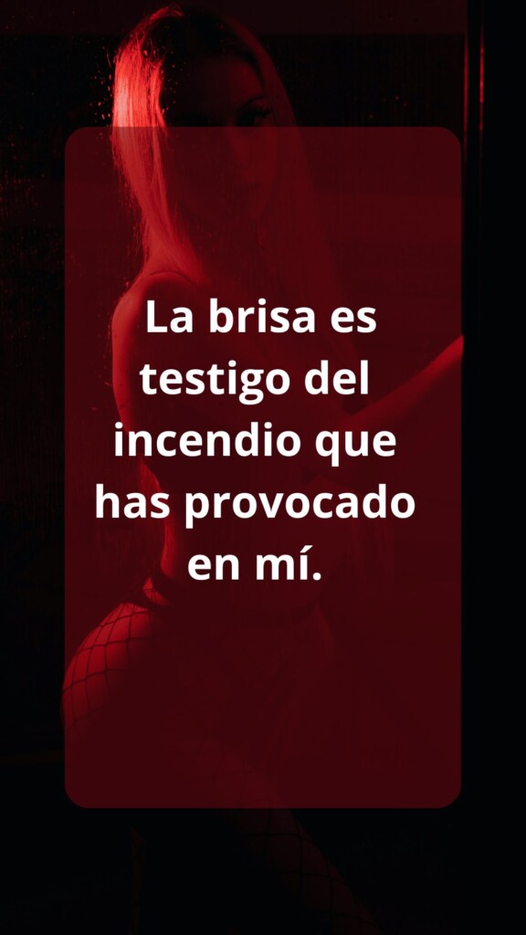 Gerardo Zamora | Aspirante a Escritor........