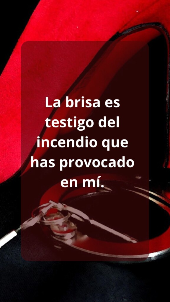 Gerardo Zamora | Aspirante a Escritor........