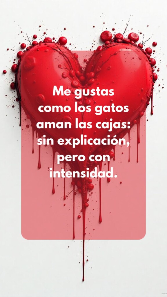 Gerardo Zamora | Aspirante a Escritor........